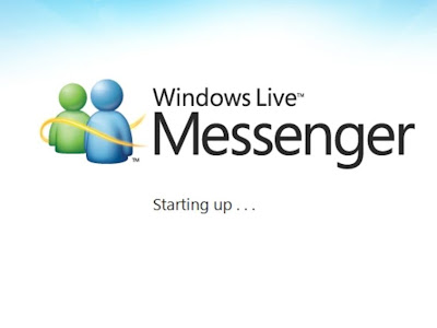 How to stop Windows Live Messenger leaking information