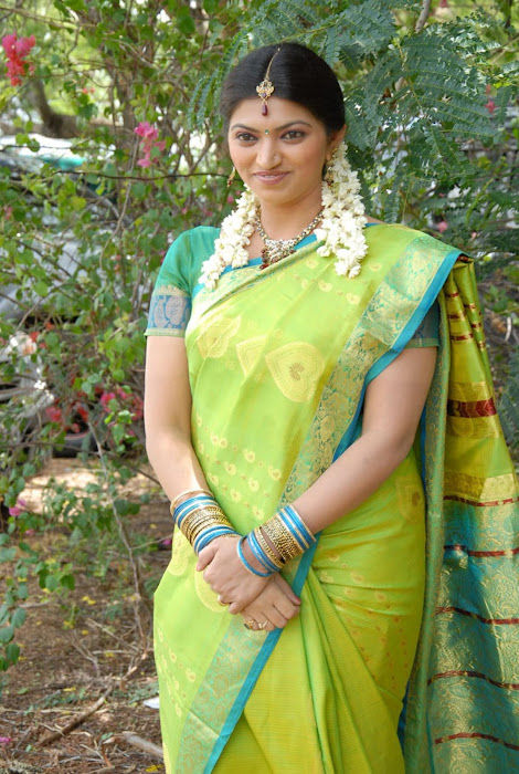 keerthi naidu in saree actress pics