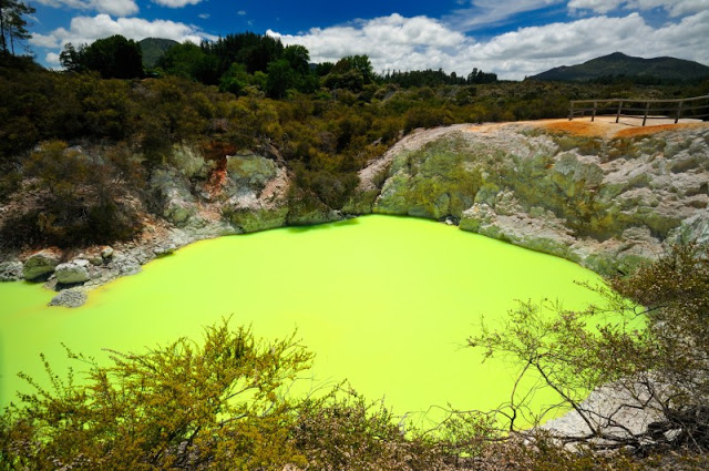 Lac vert Rotorua 