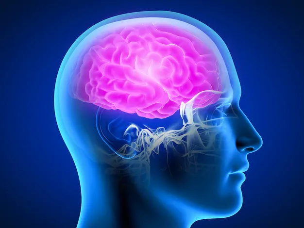 Otak: Organ Unik nan Misterius yang Mengendalikan Kehidupan Manusia