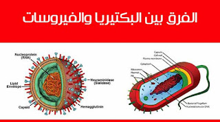 البكتيريا والفيروسات