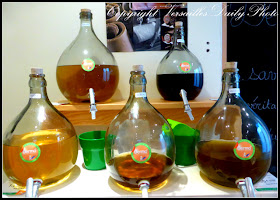 Day by Day Versailles savon Marseille soap