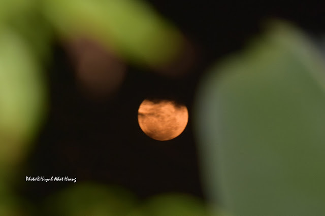 Mặt Trăng bắt đầu bị che khuất khi pha một phần của nguyệt thực bắt đầu trên bầu trời Cà Mau. Hình ảnh: Huỳnh Nhật Hoàng.