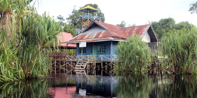  Pos Jaga Sungai Koran di Taman Nasional Sebangau, Kalimantan Tengah.