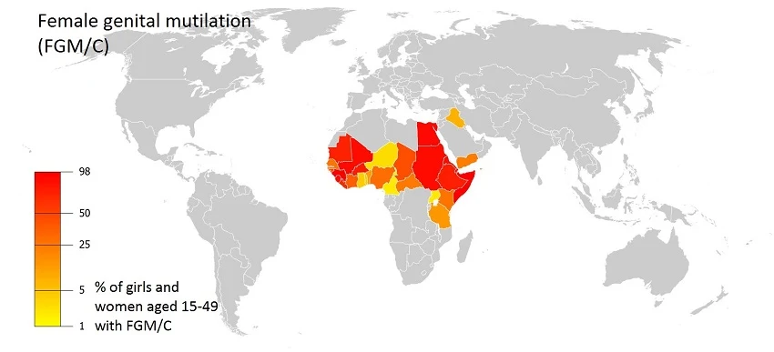 Female genital mutilation