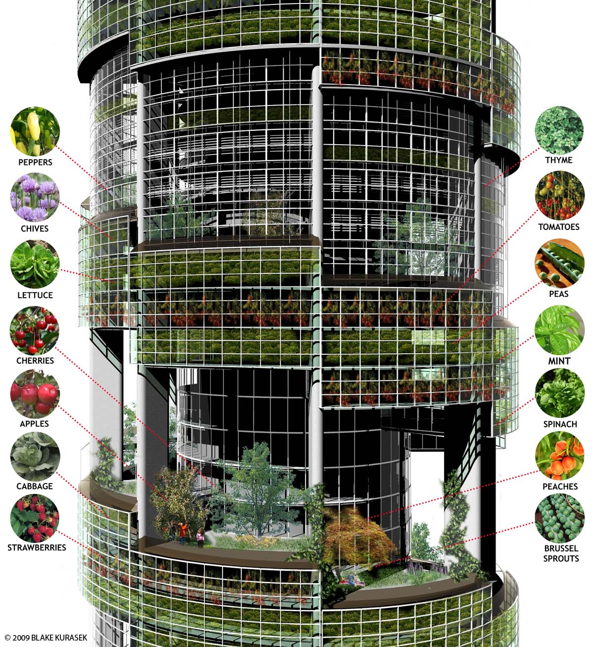 Malaysia = Malaysian: Vertical/High Rise Farming