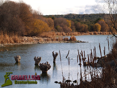 Embalse de Los Arroyos