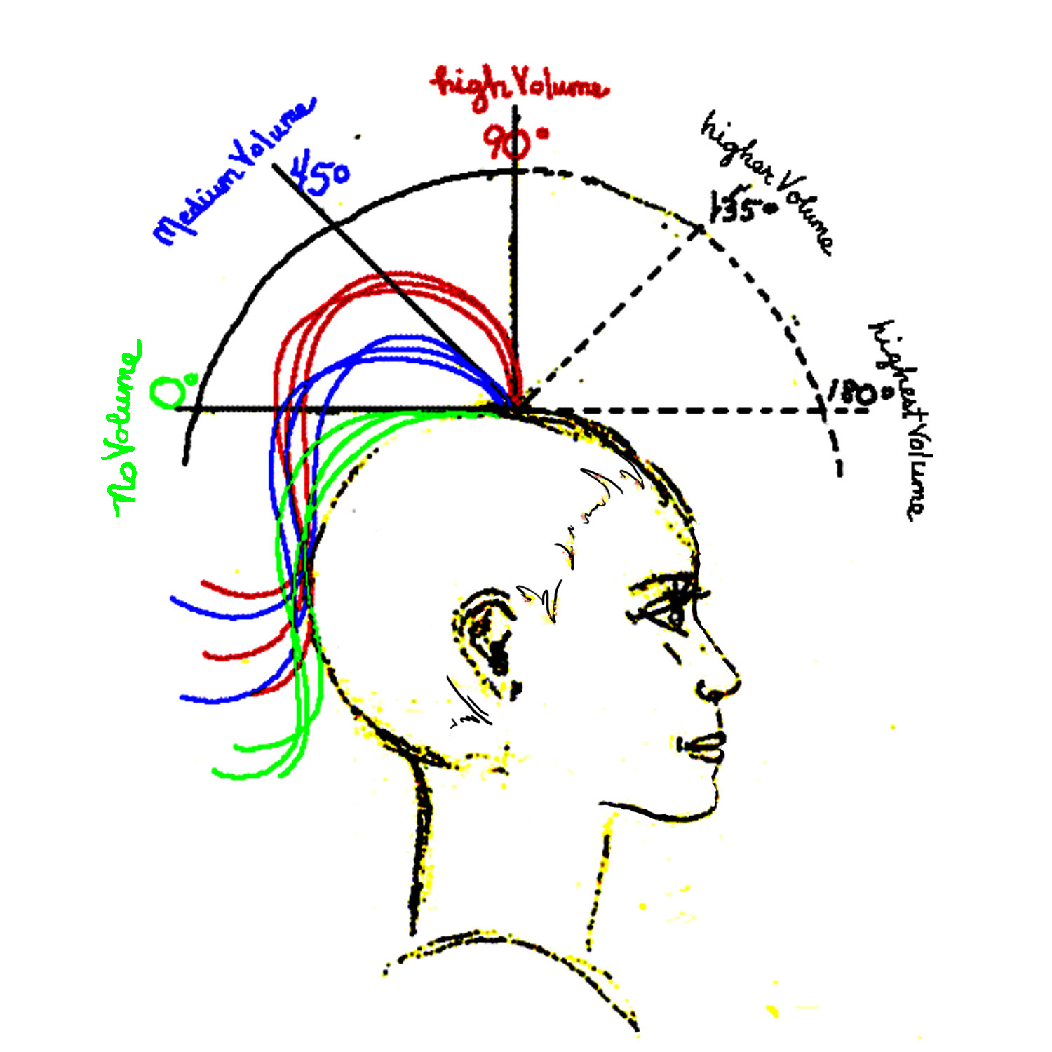 180 Haircut Diagram - The Best Haircut 2017