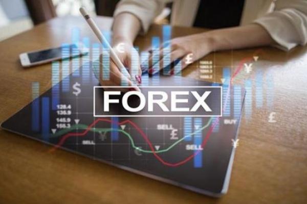 Foreign Exchange Trading: A Beginner's Guide
