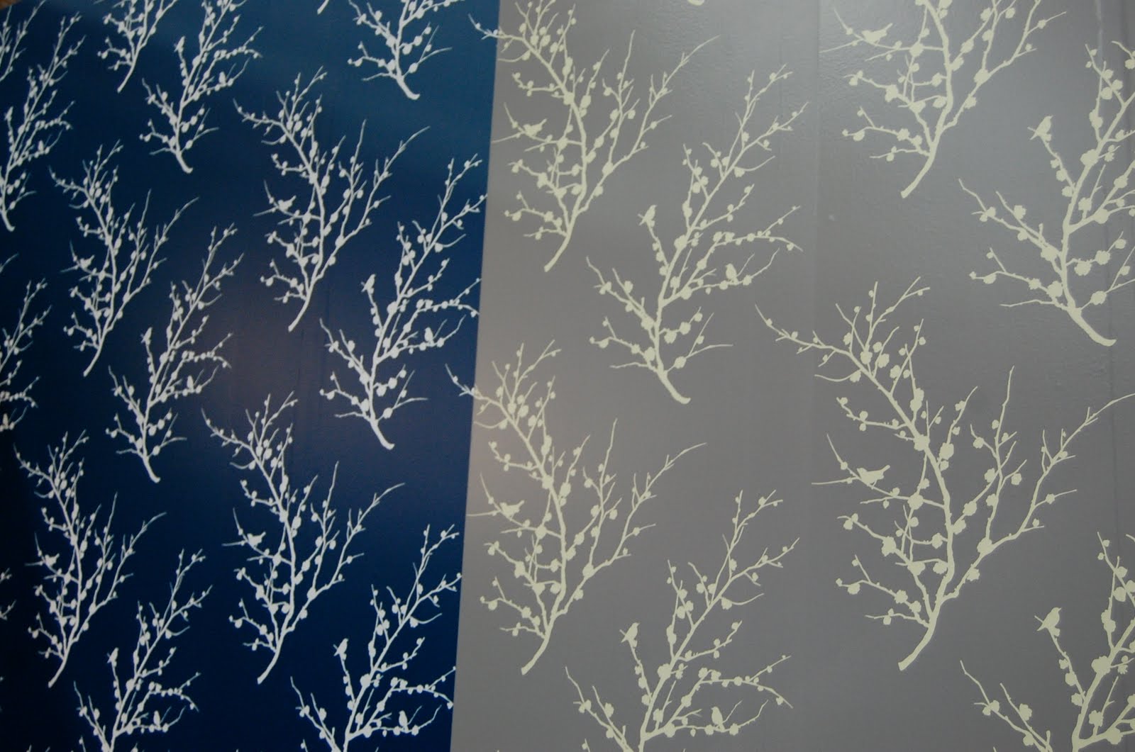 on rolls of wallpaper that