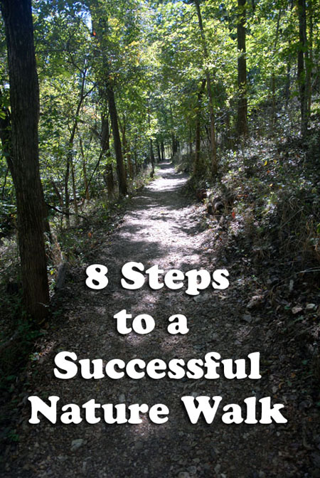 8 Steps to a Successful Nature Walk