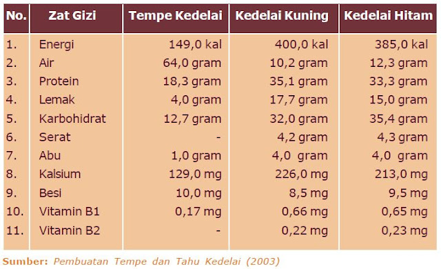 Perlu diketahui bahwa tempe merupakan salah satu  Langkah-langkah Cara Pembuatan Tempe Kedelai beserta Gambarnya