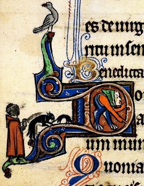 Un gatto nero insegue un topo - Iniziale lettera D - Libro delle Ore  fine 13 secolo - Inghilterra