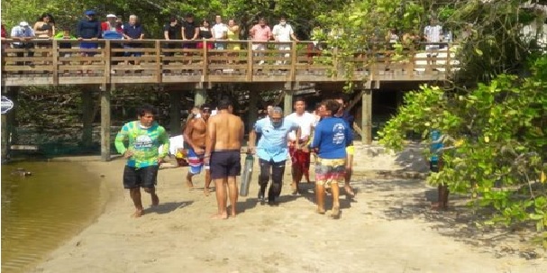 Il coccodrillo morde la testa del bimbo di 6 anni e lo trascina sott'acqua vicino alla spiaggia