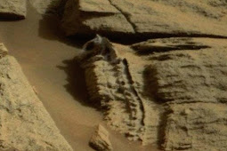 Struktur Seperti Fosil Kadal Terlihat Di Planet Mars
