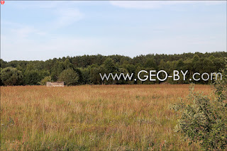 Next German Bunkers near Pietuchowszczyzna