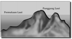 punggung laut adalah