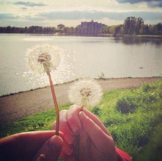 photo 3(2)