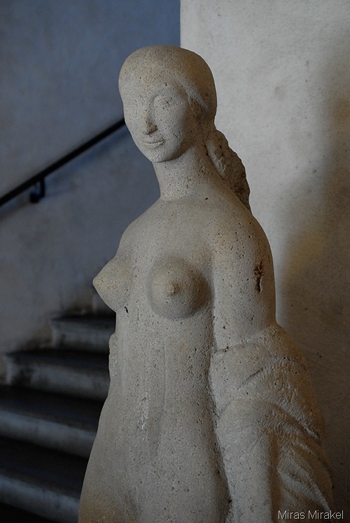 _DSC0064p