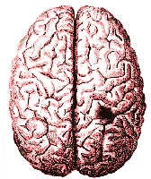 Acute Subdural Hematoma Treatment in Chennai