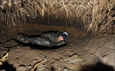 A Look Inside a Bear's Den Seen On www.coolpicturegallery.us