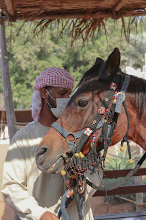 ركوب الخيل في الامارات اماكن ركوب الخيل في الامارات التدريب على ركوب الخيل في الامارات تعليم ركوب الخيل في الامارات معلومات عن ركوب الخيل في الامارات اهمية ركوب الخيل في الامارات ركوب الخيل للبنات في الامارات ركوب الخيل في دبي ركوب الخيل في تونس اسطبلات خيول في دبي اماكن ركوب الخيل في دبي هل ركوب الخيل صعب سباق الخيل الخرطوم حكم ركوب الخيل ركوب الخيل الإمارات العربية المتحدة افضل راكب خيل في العالم ركوب الخيل في بوكيت