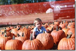 Pumpkin Patch Oct. 2011 023