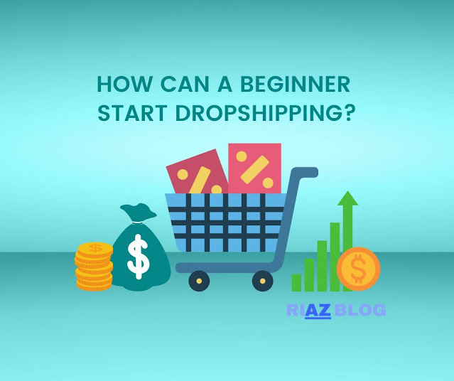 How can a beginner start Dropshipping?
