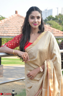 Angana Roy in Silk Saree at Teaching Tree Carnival .xyz 010.JPG