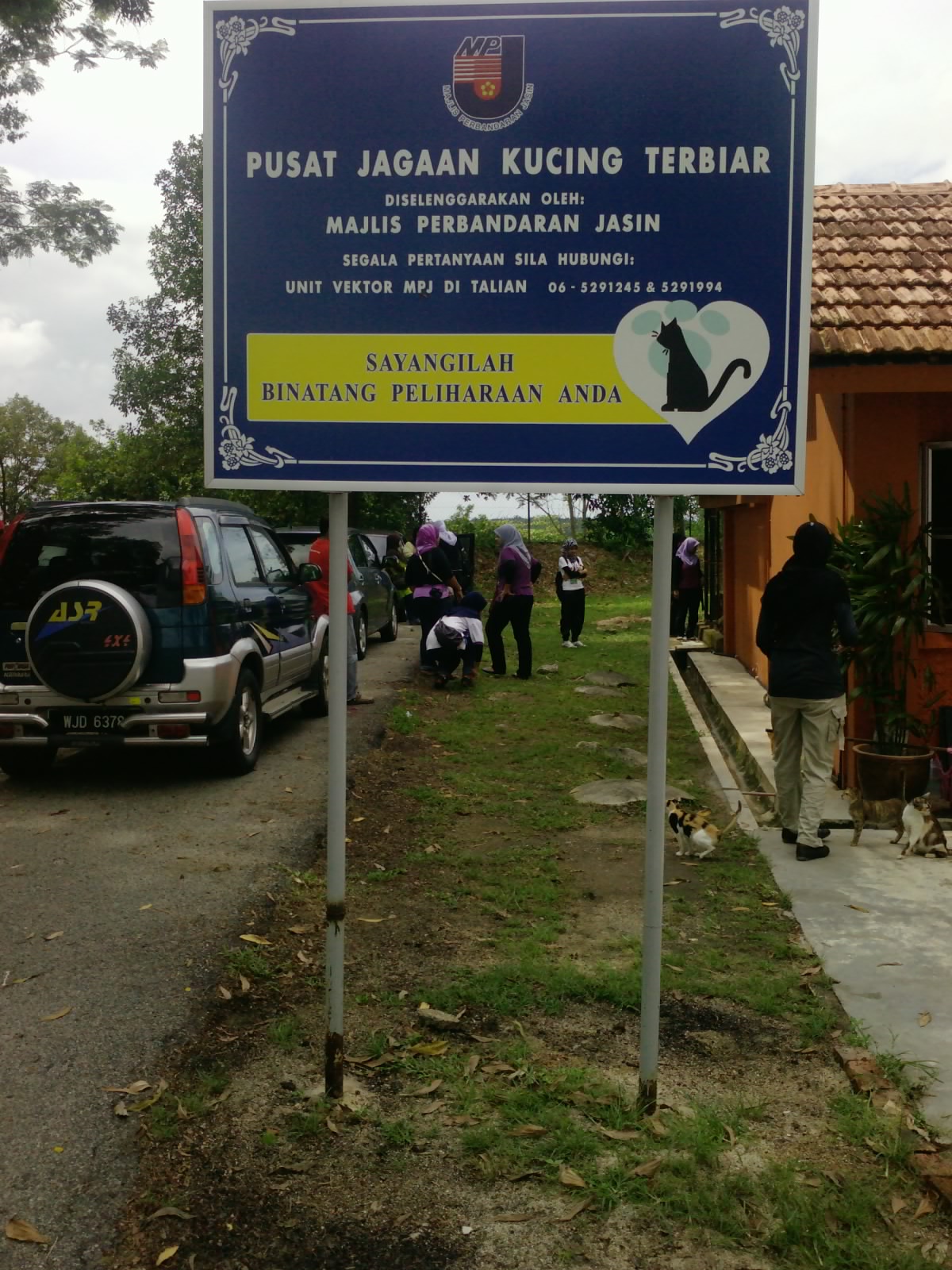 Life ain't easy: Pusat Jagaan Kucing Terbiar, Jasin siri 