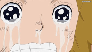 ワンピースアニメ 魚人島編 541話 コアラ 幼少期 初登場 KOALA | ONE PIECE Episode 541