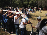 Survivor Team Building Johannesburg