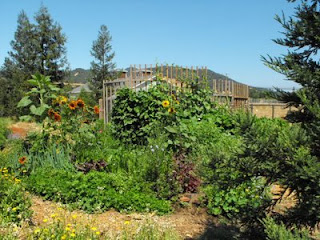 garden and gourd wall