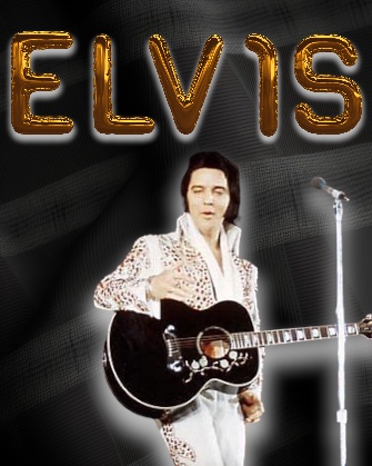 Elvis Presley immagine artwork