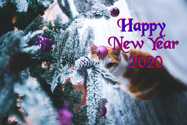 Happy new year images 2020