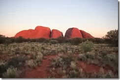 Sunset on the Olgas