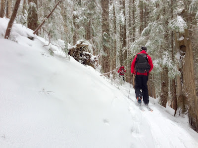 Two MHSP Nordic Patrollers skinning in the Oregon backcountry