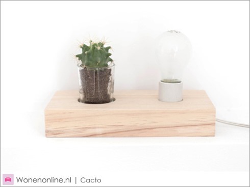 design-lamp-cacto-1 (1)