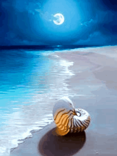 Gif de praia