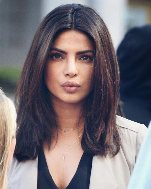 Priyanka Chopra Dark Hair With Dark Blonde Highlights