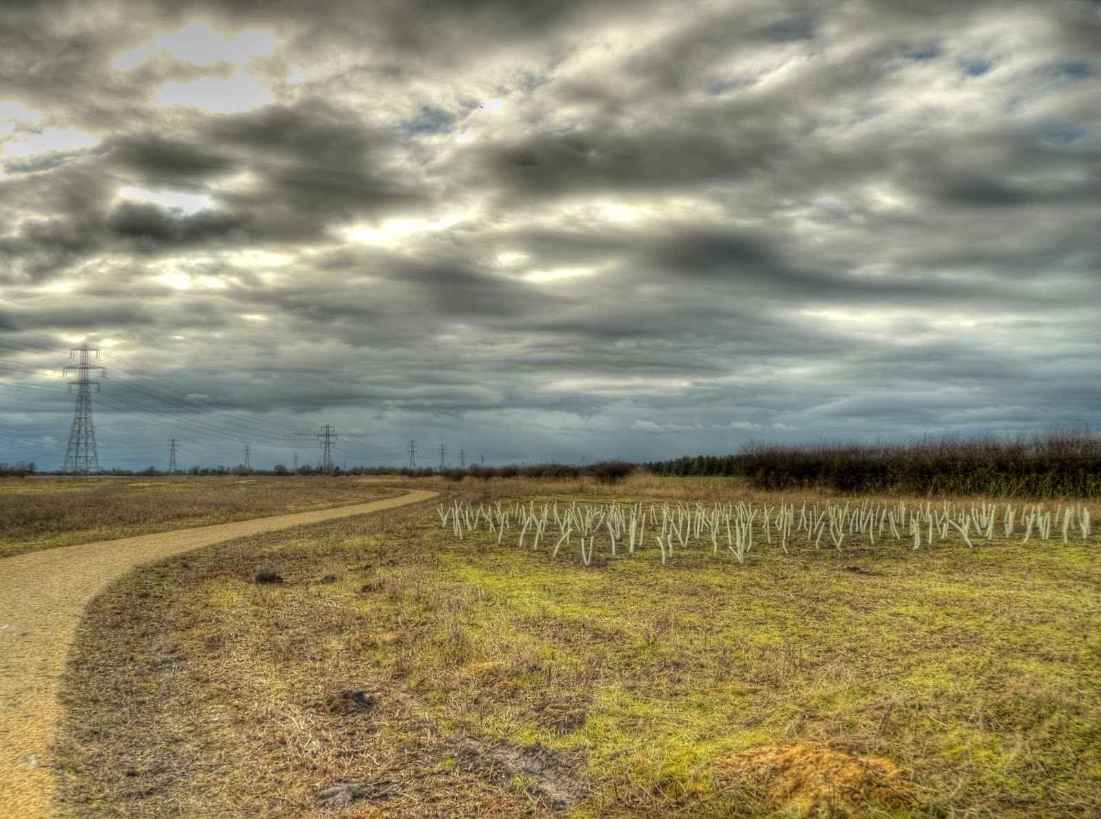 P1040447_1_2_3_4_5_6_tonemapped.jpg