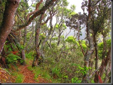 Along Trail