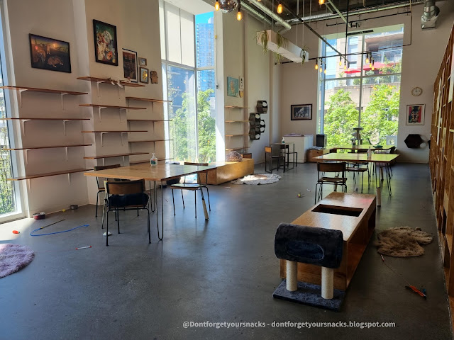 Catfe Cat Cafe Vancouver