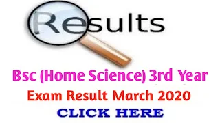 Bsc (Home Science) 3rd year Exam March 2020 (HS3P)|Jiwaji University  Bcom 3rd year result