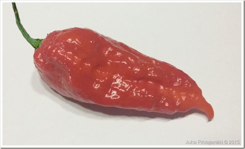 naga