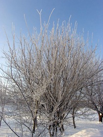 DSC00044_1