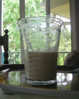 Sourdough starter 1, La Ceiba, Honduras