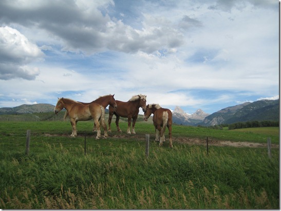 Tetons and Wedding 004