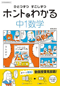 ひとつずつ すこしずつ ホントにわかる 中1数学