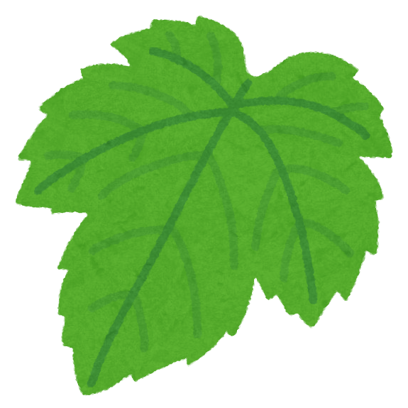 葡萄の葉のイラスト かわいいフリー素材集 いらすとや 葡萄の葉のイラスト かわいいフリー素材集 いらすとや